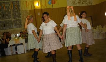 2008 Farský ples